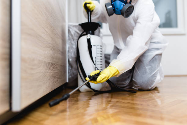 Best Ant Control Services  in Hamshire, TX
