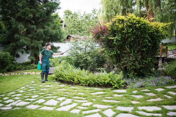 Best Mosquito Control Services  in Hamshire, TX