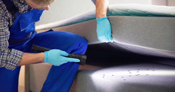 Best Best Pest Control Companies  in Hamshire, TX