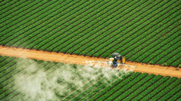 Insect Control in Hamshire, TX