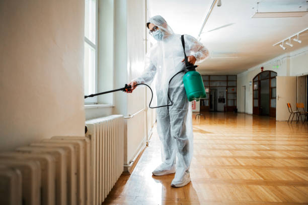 Best Exterminator Services  in Hamshire, TX