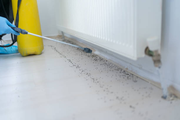 Best Wildlife Control Services  in Hamshire, TX