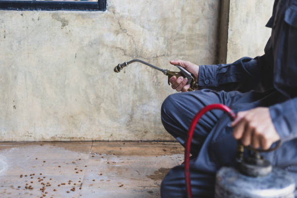 Best Pest Control Near Me in Hamshire, TX